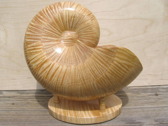 Shells
